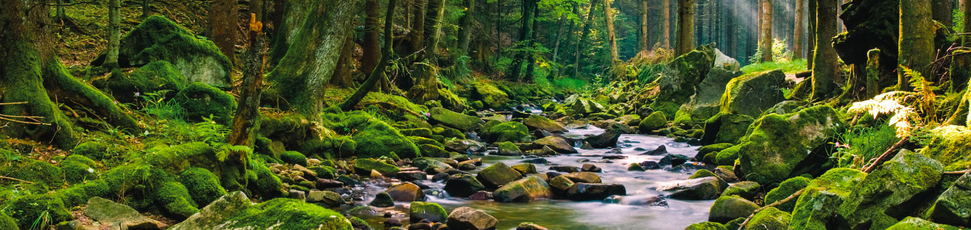 ENGAGÉ POUR LE DÉVELOPPEMENT DURABLE